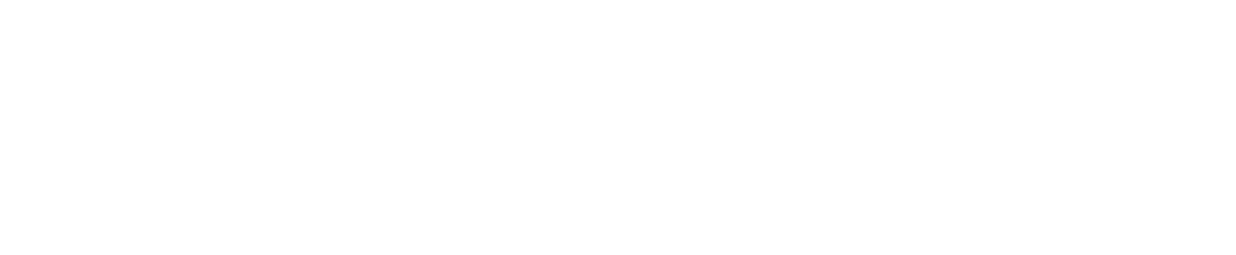 mold experts